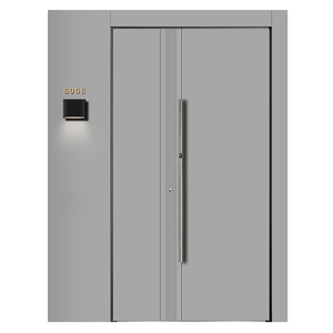 Aluminum Panel Door