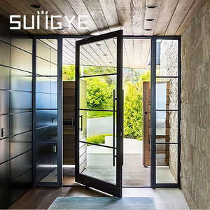 Big Panel Double Tempered Glass Pivot Entry Door