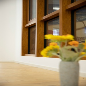 Aluminum Clad Wood Tilt and Turn Window