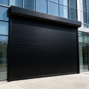Transparent Roller Shutter Door Polycarbonate Rolling Door for Storefront